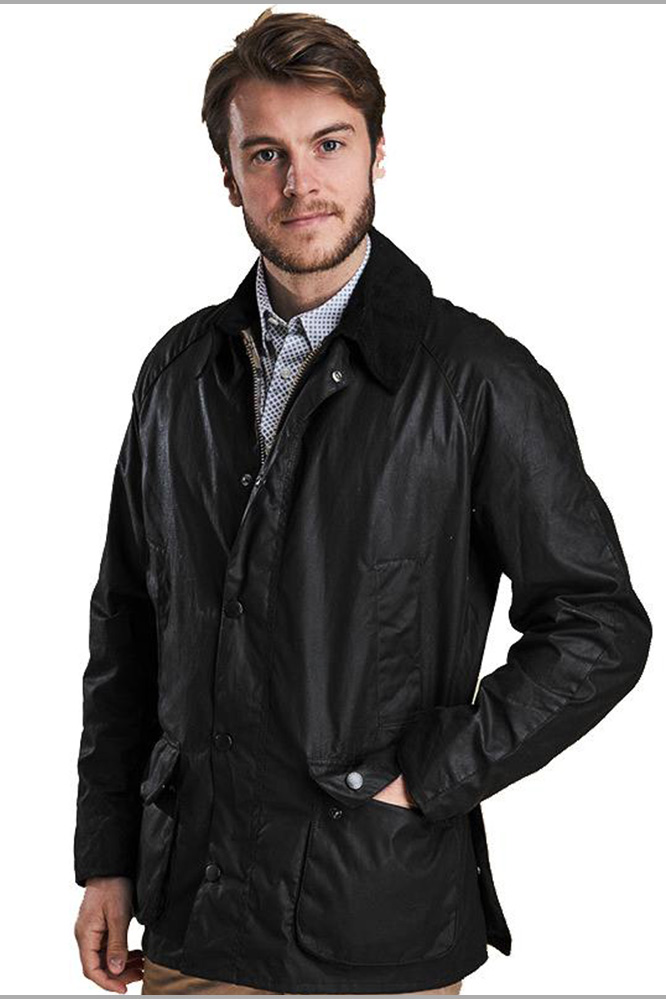 Barbour ashby roma