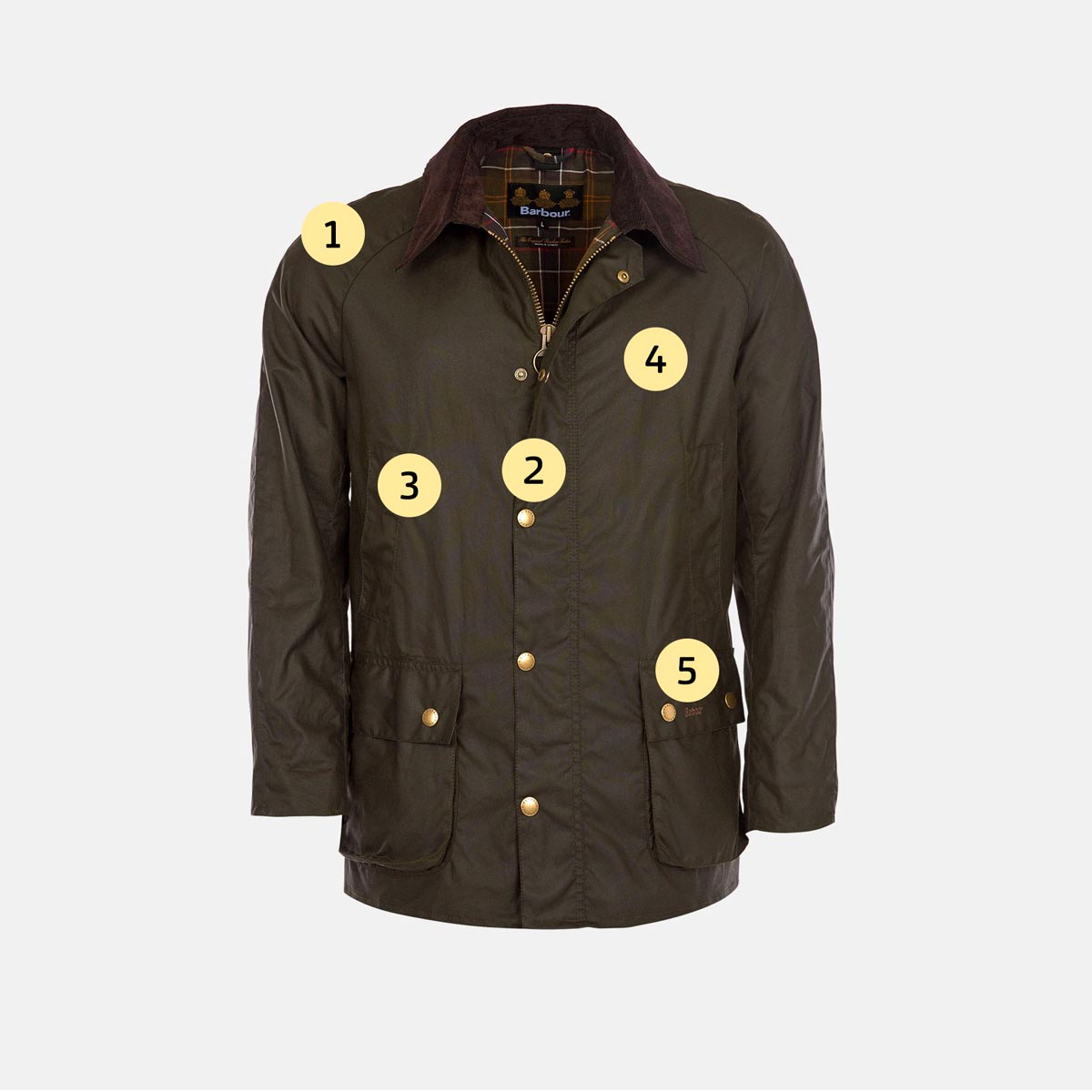 barbour ashby a roma 